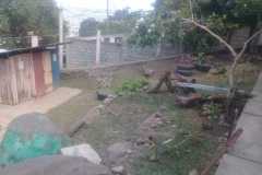 IMG-20190704-WA0002